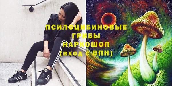 дмт Белоозёрский