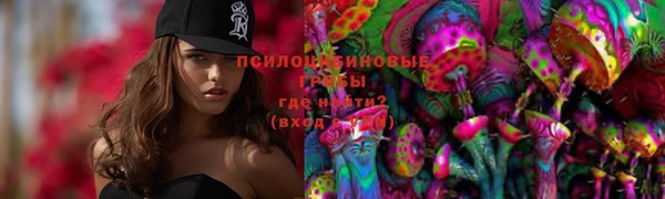 марихуана Белокуриха